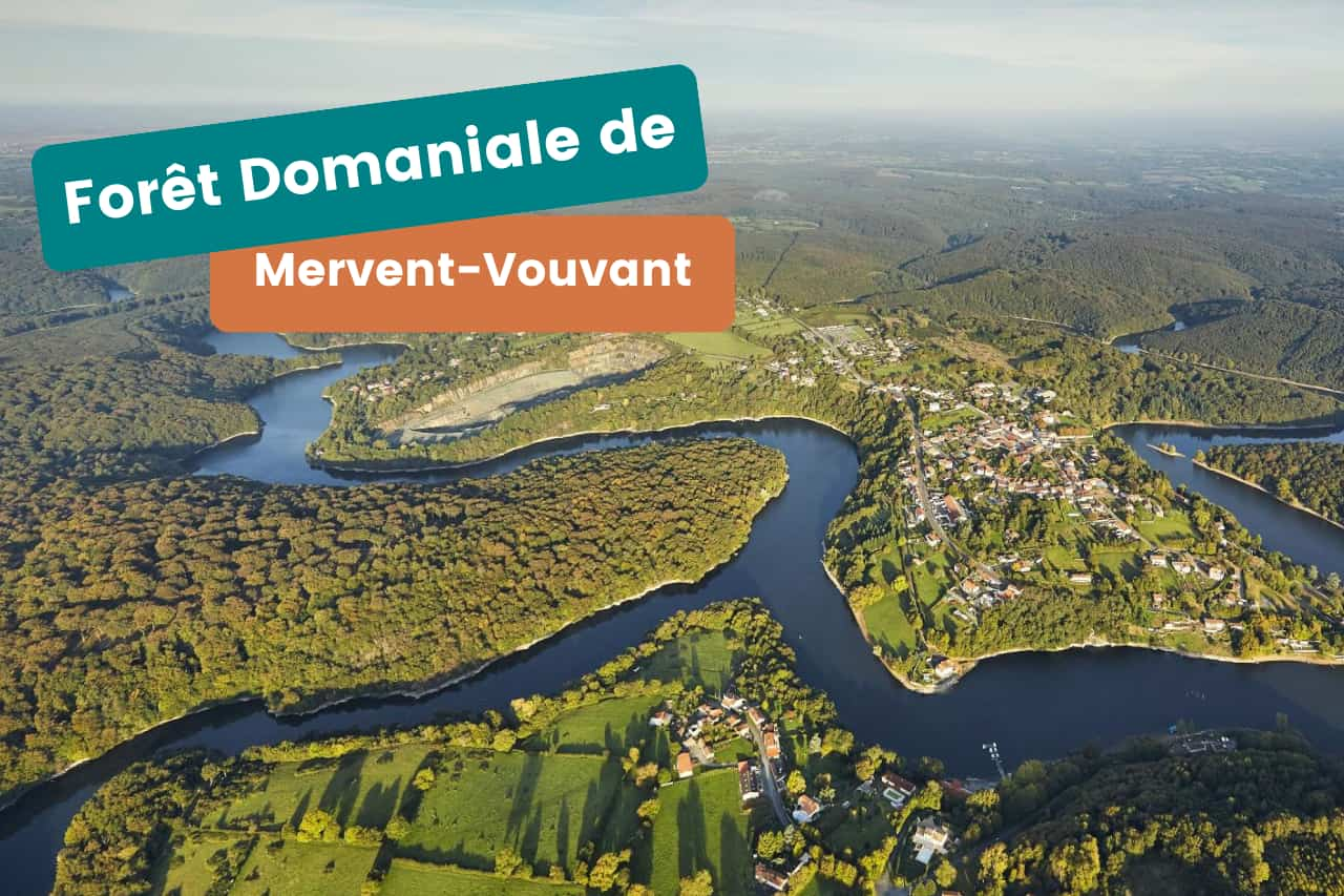 Forêt Domaniale de Mervent-Vouvant