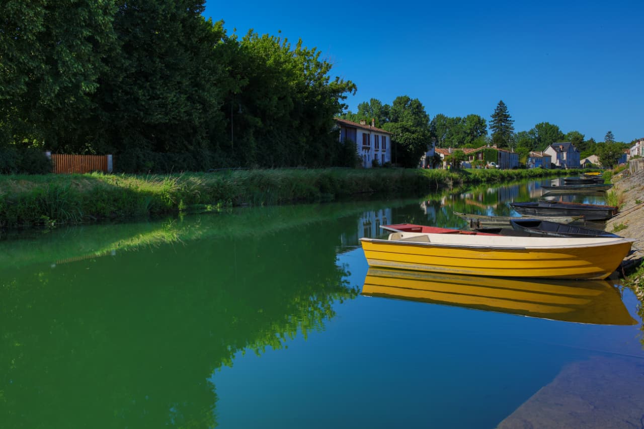 balade en barque Marais Poitevin